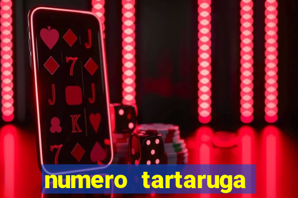 numero tartaruga jogo do bicho